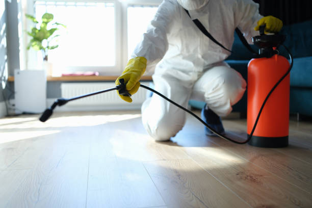 Reliable Biohazard Cleanup contractor in Lyons, OR by Trauma Clean Pros